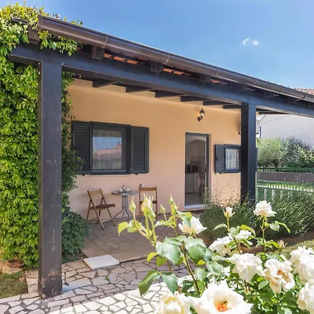 Cozy In With Kitchen Holiday home *